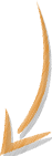 arrow-orange